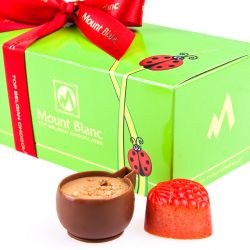 Czekoladki na prezent Ballotin Green Biedronka no.1 pralinki dla dzieci - MountBlanc - 2